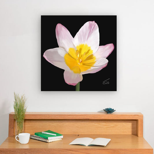 Lilac Wonder (Tulipa Saxatilis) - Premium Square Canvas Art (50 x 50 cm)