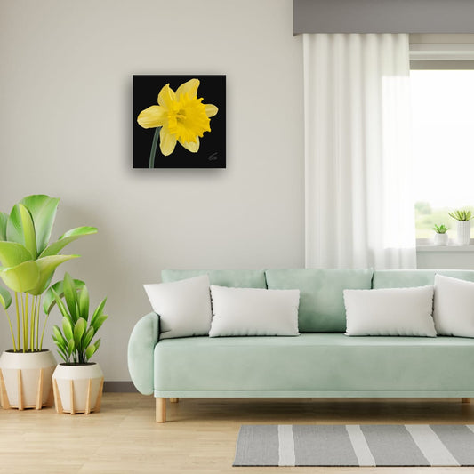 King Alfred Daffodil - Premium Square Canvas Art (50 x 50 cm)