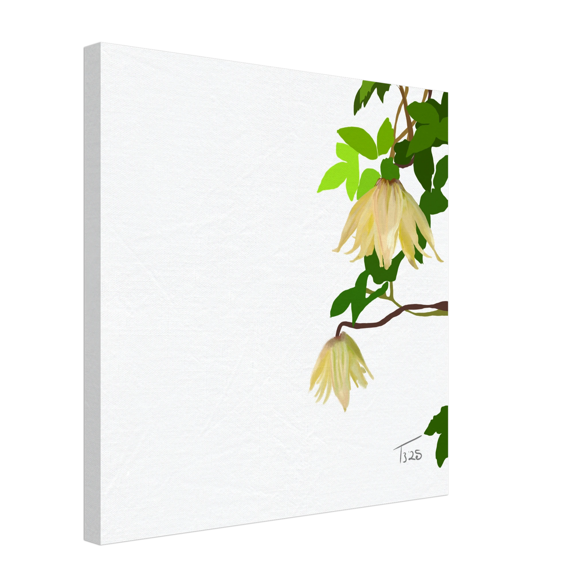 w-2025-bot-clematis-yellow