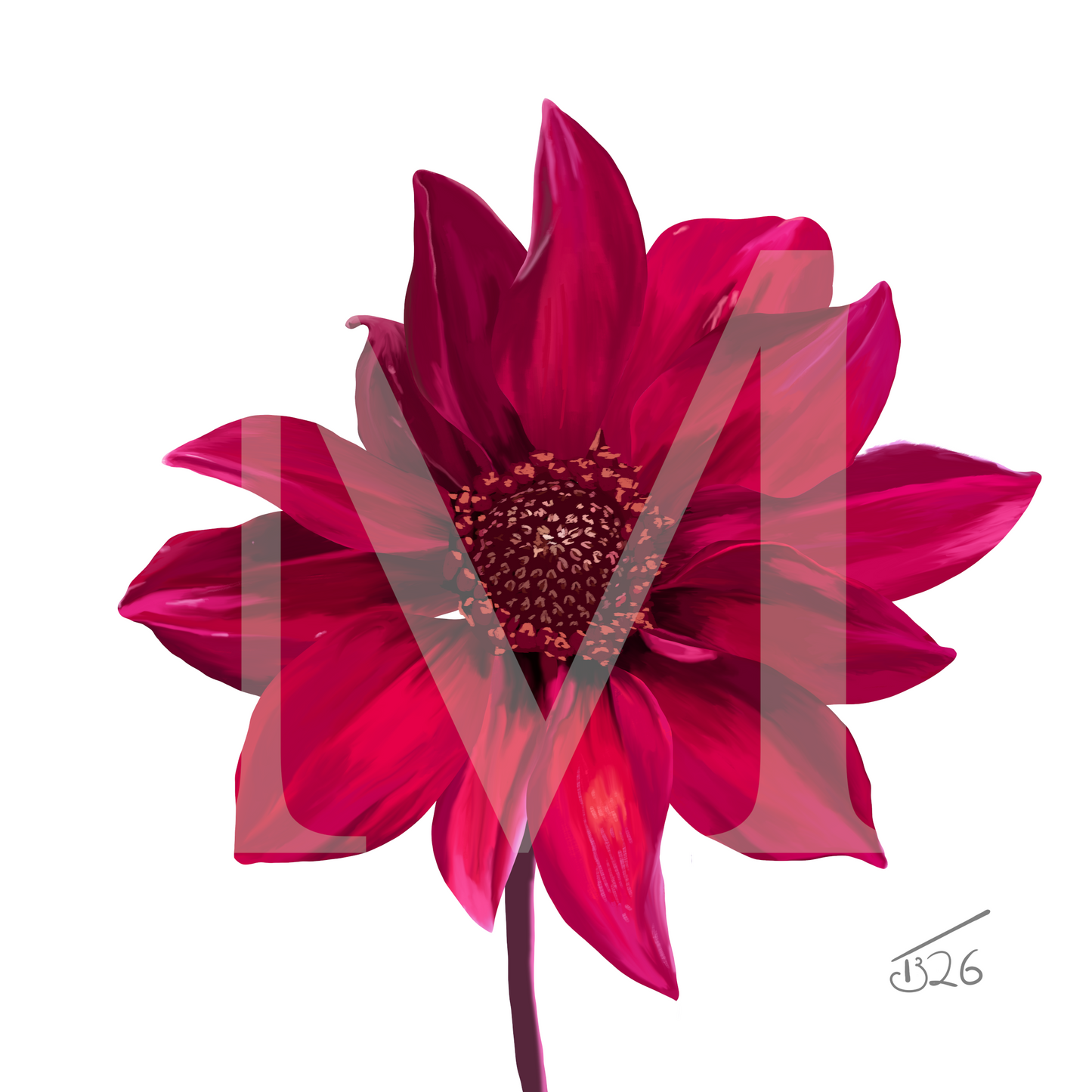 Red Dahlia Premium Canvas Art Print – Botanical Noir & White Editions (50 x 50 cm)