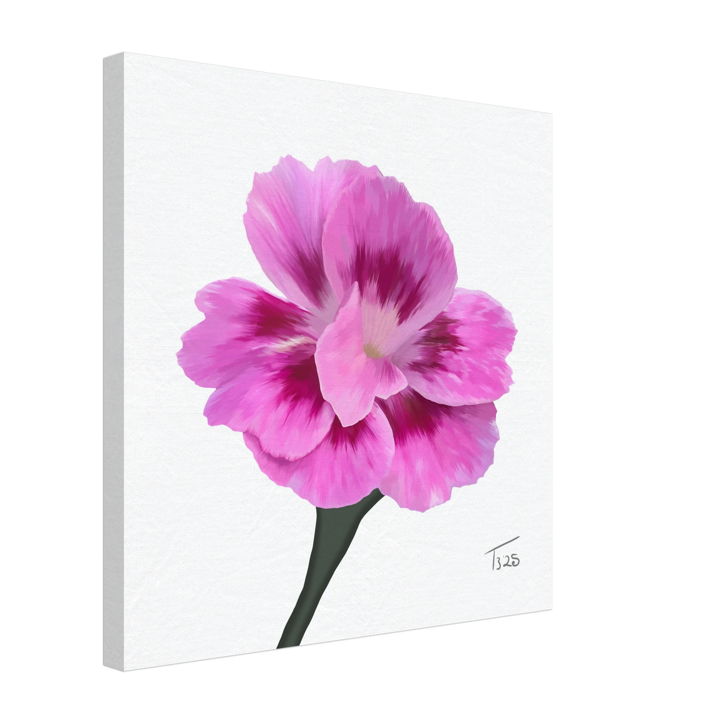 w-2025-bot-dianthus-oscar-purple-star