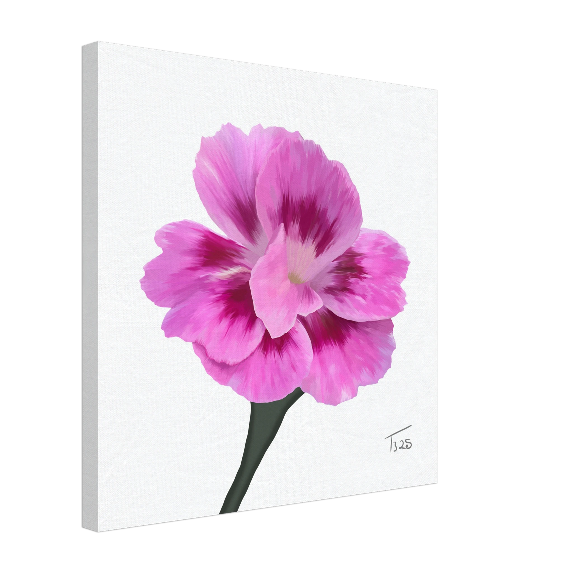w-2025-bot-dianthus-oscar-purple-star