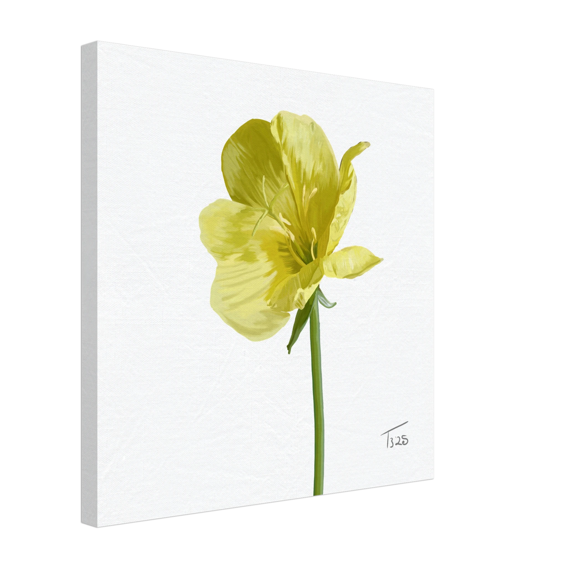 w-2025-bot-evening-primrose-yellow