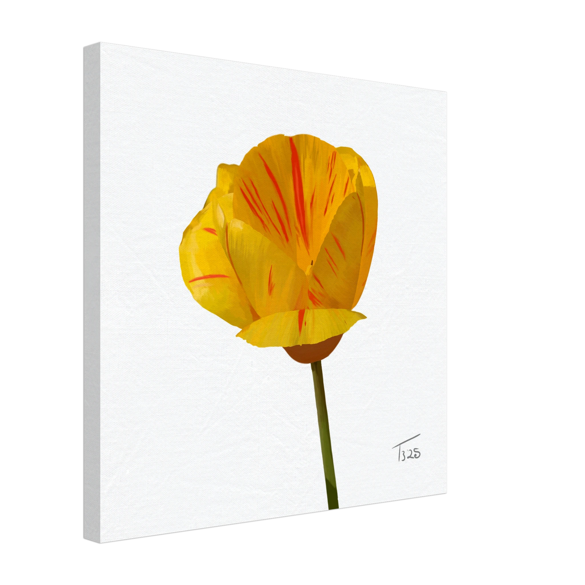 w-2025-bot-tulip-tiger-tulip-yellow