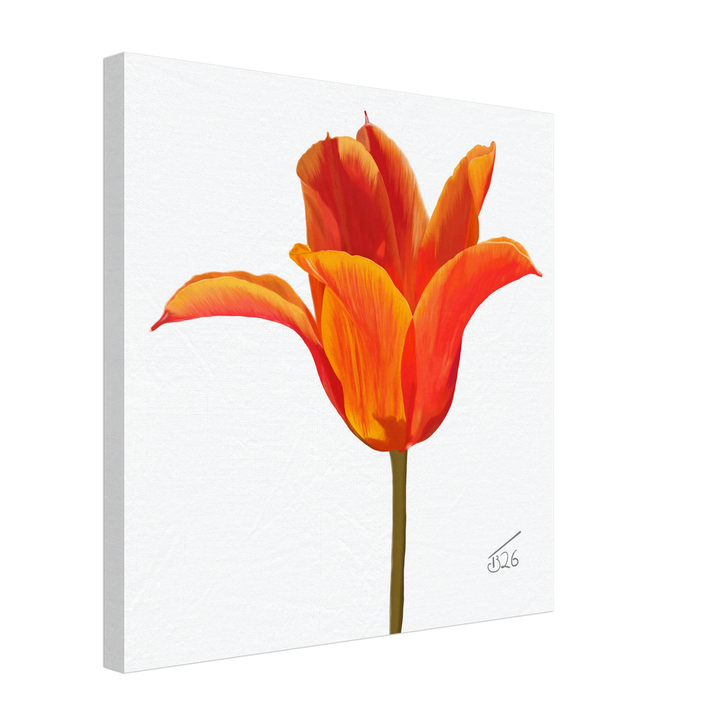 w-2026-bot-tulip-ballerina-orange