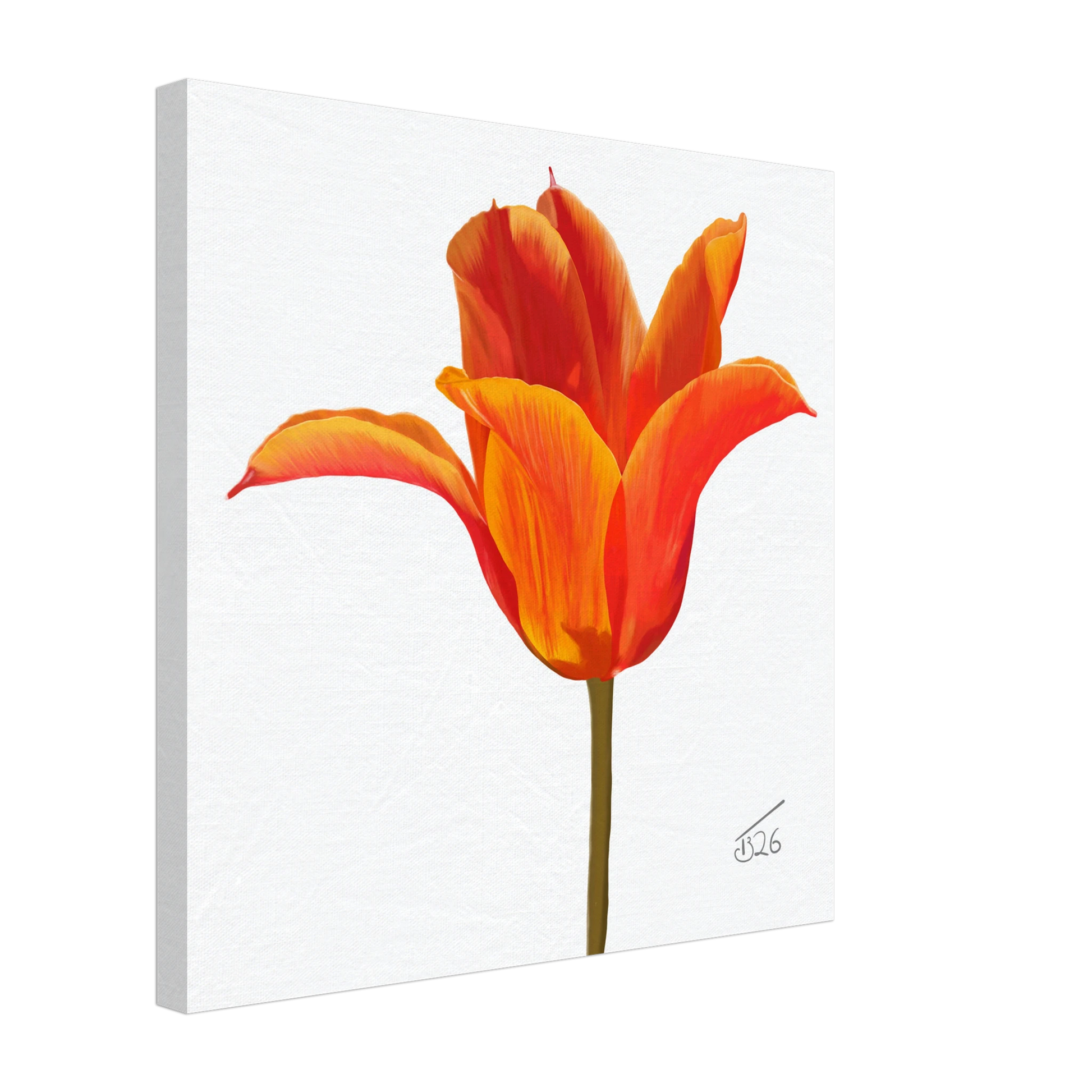 w-2026-bot-tulip-ballerina-orange