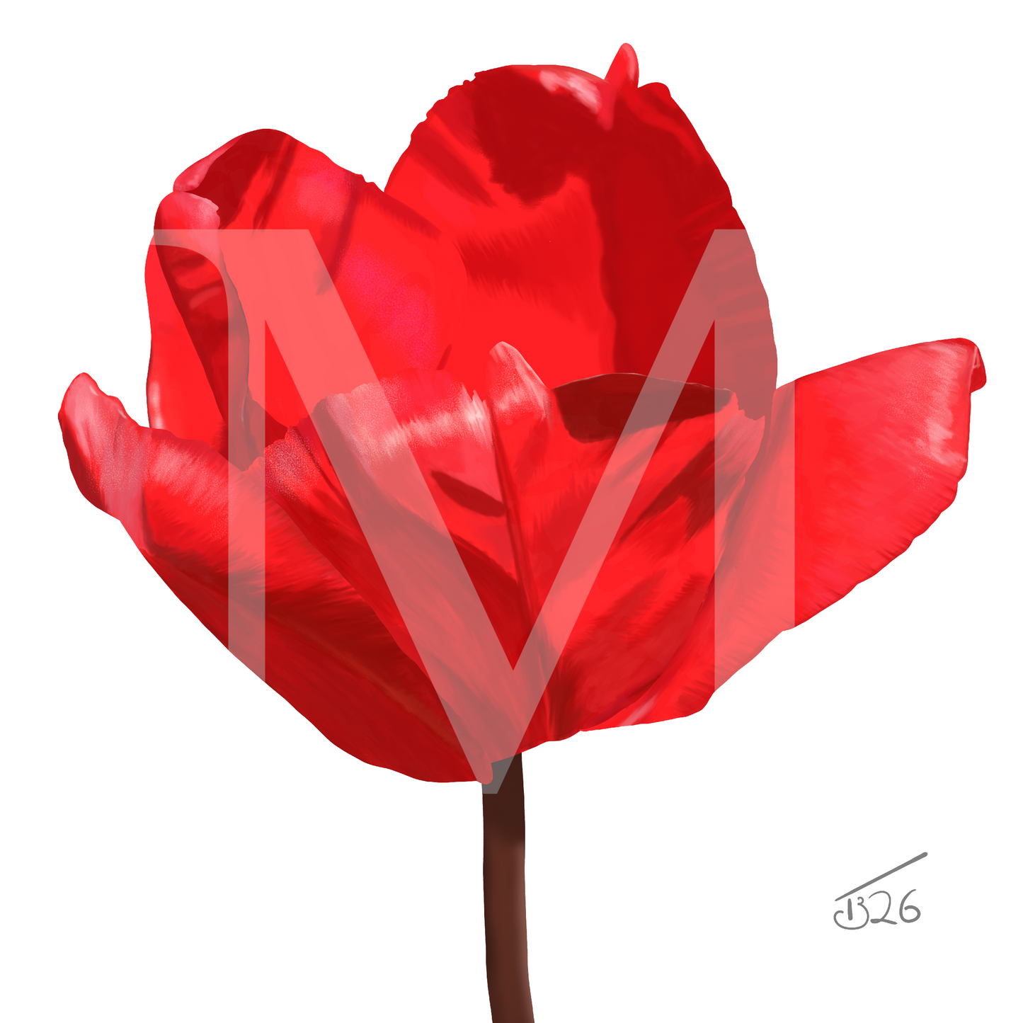 Red Impression Tulip - Premium Square Canvas Art (50 x 50 cm)