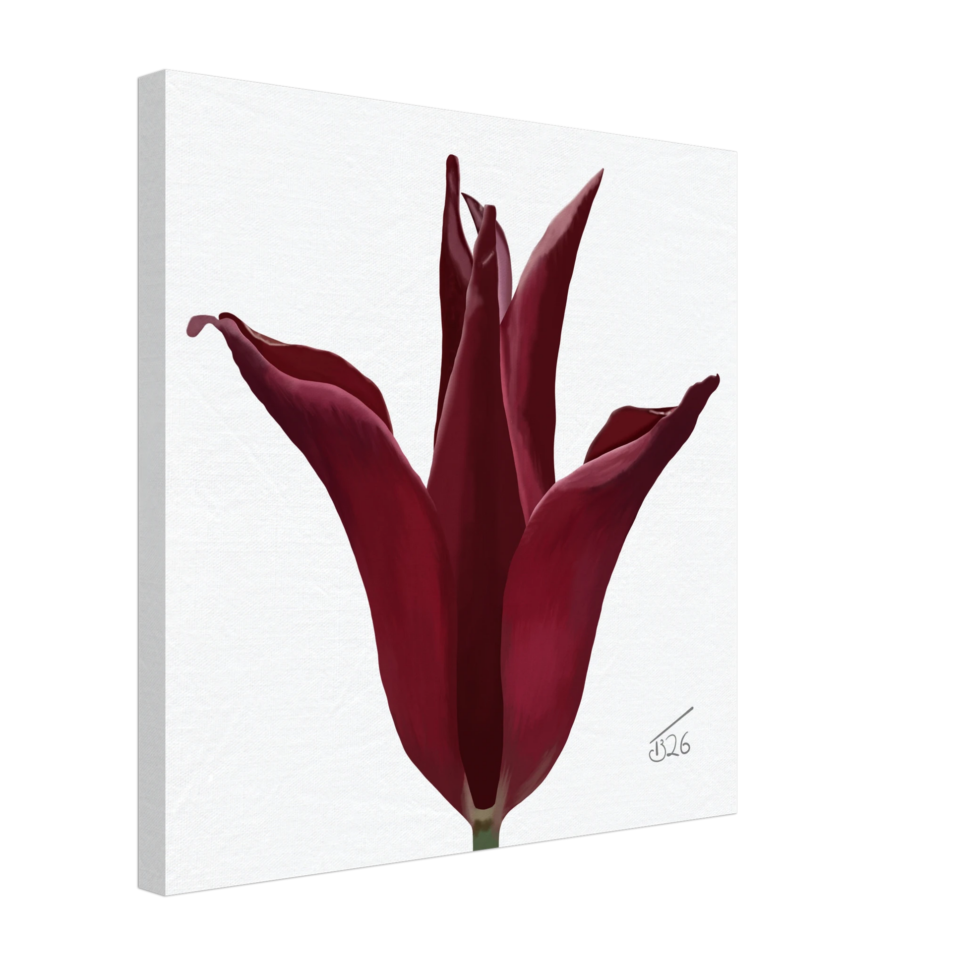 w-2026-bot-tulip-sarah-raven