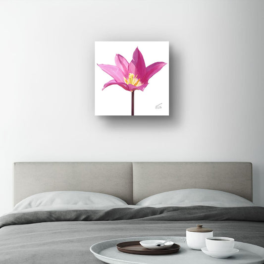 Purple Dream Lily-Flowered Tulip - Premium Square Canvas Art (50 x 50 cm)
