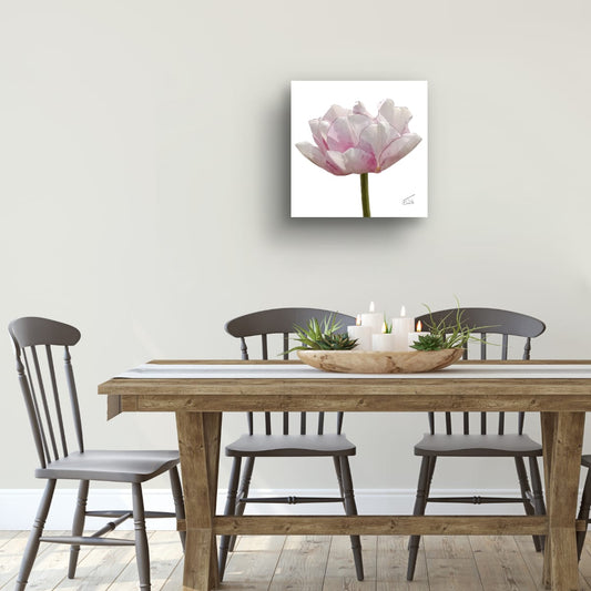 Tulip 'Angelique' - Premium Square Canvas Art (50 x 50 cm)