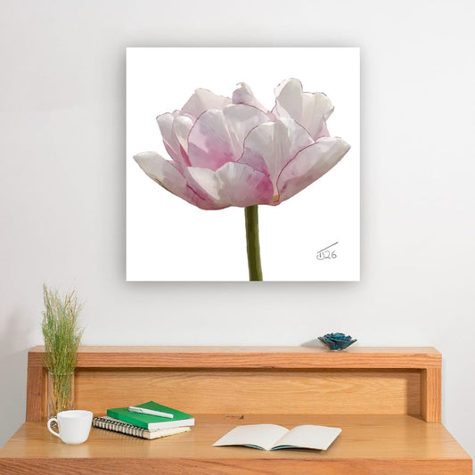Tulip 'Angelique' - Premium Square Canvas Art (50 x 50 cm)