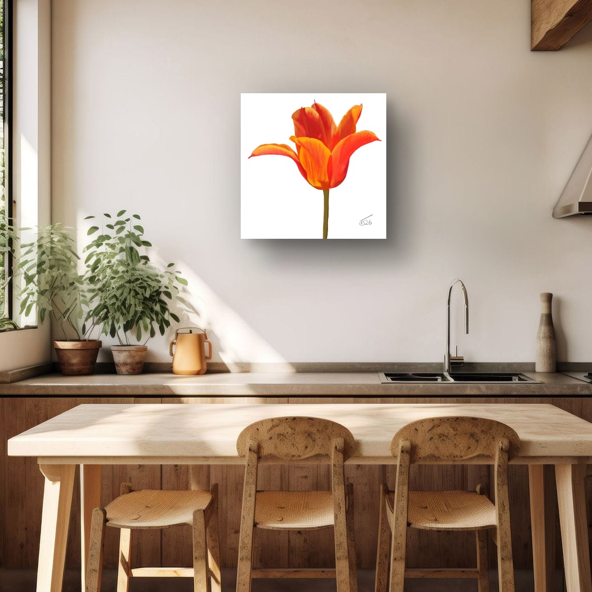 Ballerina Orange Lily-Flowered Tulip - Premium Square Canvas Art (50 x 50 cm)