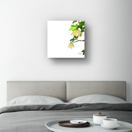 Golden Clematis Tangutica Botanical Canvas Print – White & Noir Editions (50 x 50 cm)