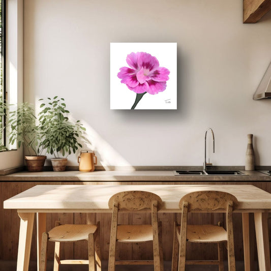 Dianthus Oscar Purple Star - Premium Square Canvas Art (50 x 50 cm)