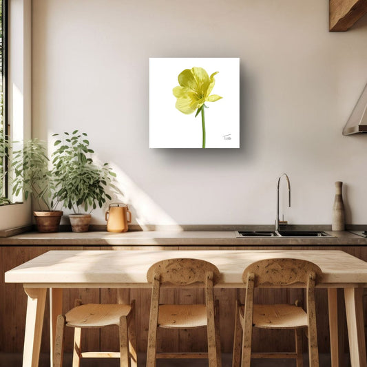 Evening Primrose Yellow - Premium Square Canvas Art (50 x 50 cm)