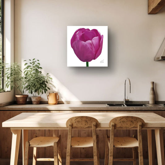 Purple Passion Tulip - Premium Square Canvas Art (50 x 50 cm)