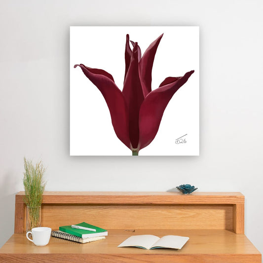 Sarah Raven Velvet Bloom Tulip - Premium Square Canvas Art (50 x 50 cm)