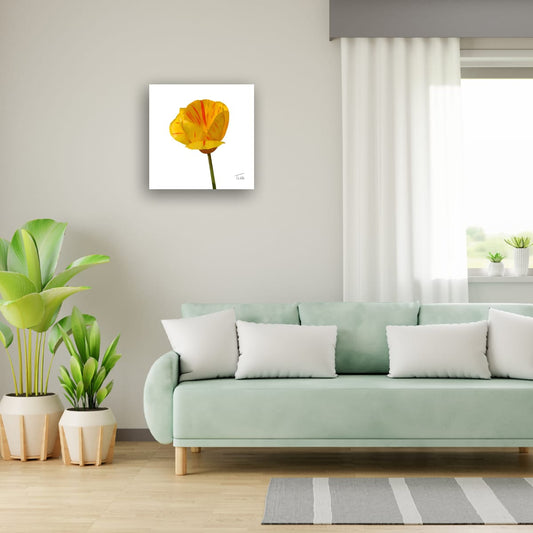 "Golden Flame" Tiger Tulip - Premium Square Canvas Art (50 x 50 cm