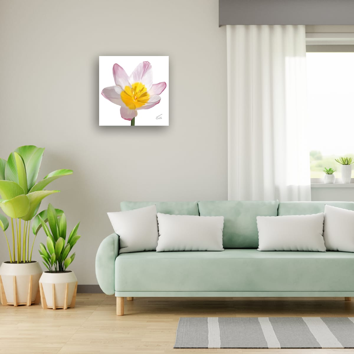 Lilac Wonder (Tulipa Saxatilis) - Premium Square Canvas Art (50 x 50 cm)