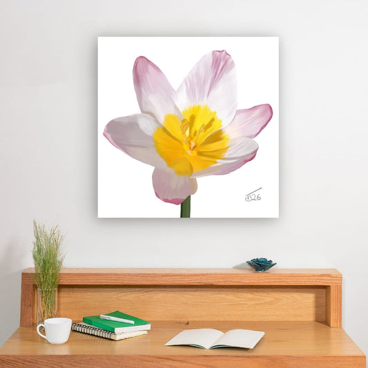 Lilac Wonder (Tulipa Saxatilis) - Premium Square Canvas Art (50 x 50 cm)