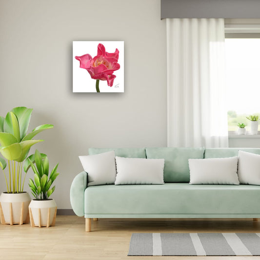 Crown of Destiny Tulip – Vibrant Red Tulip Premium Square Canvas Art (50 x 50 cm)