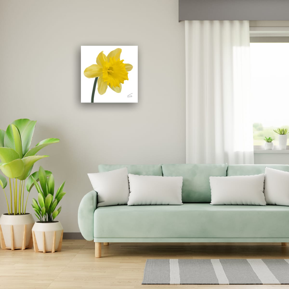 King Alfred Daffodil - Premium Square Canvas Art (50 x 50 cm)